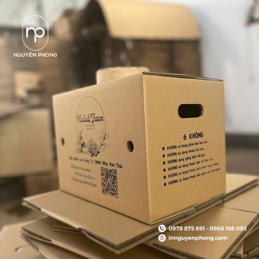 Mẫu in thùng carton giá rẻ