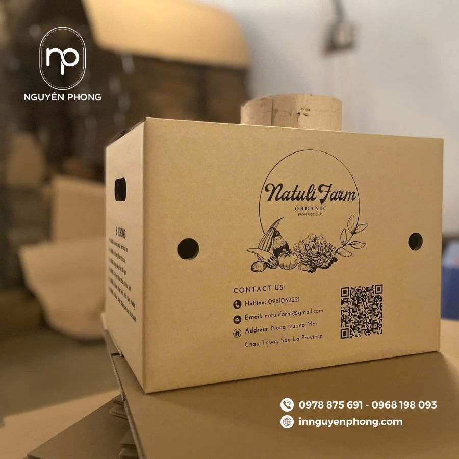 Mẫu in thùng carton giá rẻ