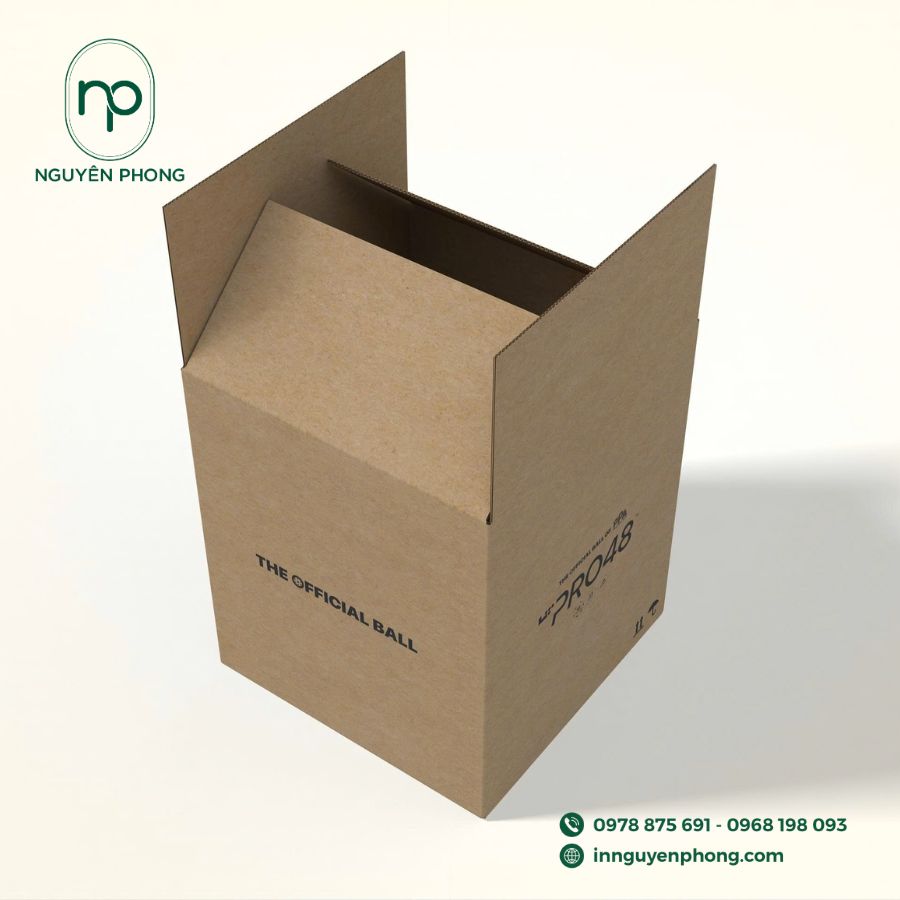 Mẫu in thùng carton giá rẻ