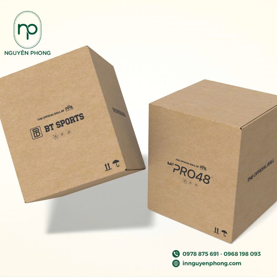 Mẫu in thùng carton giá rẻ