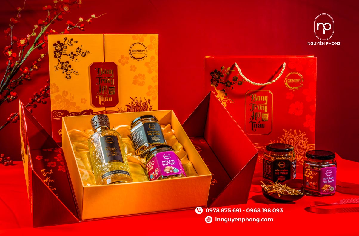 Mẫu hộp giấy đựng đông trùng hạ thảo 