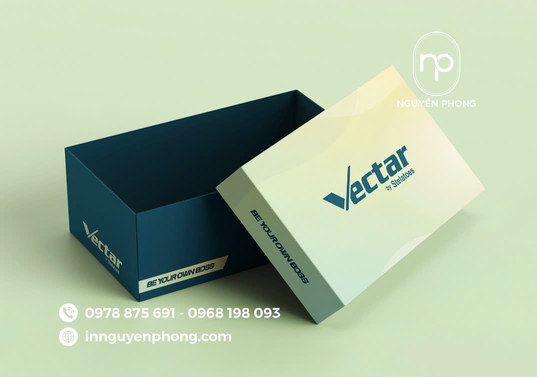 hộp carton đựng giày