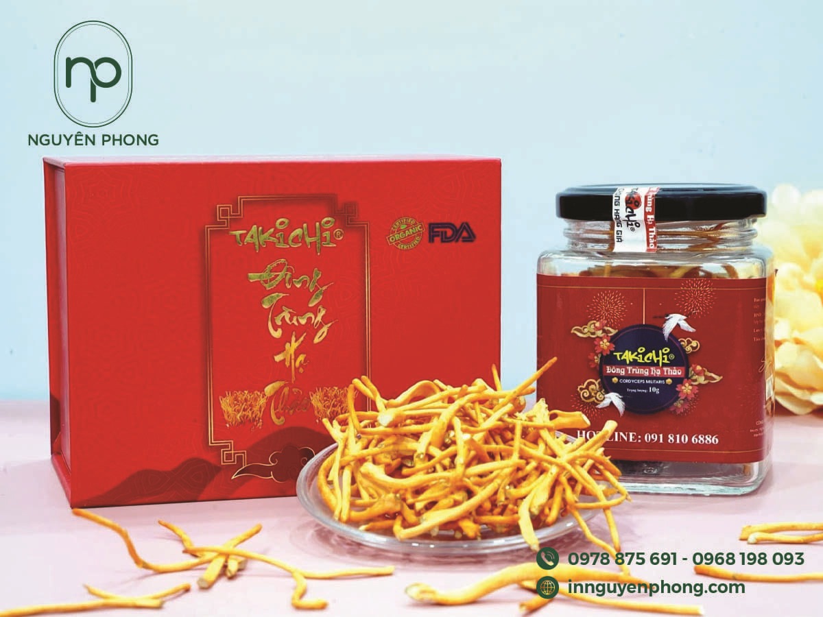 In hộp đựng đông trùng hạ thảo