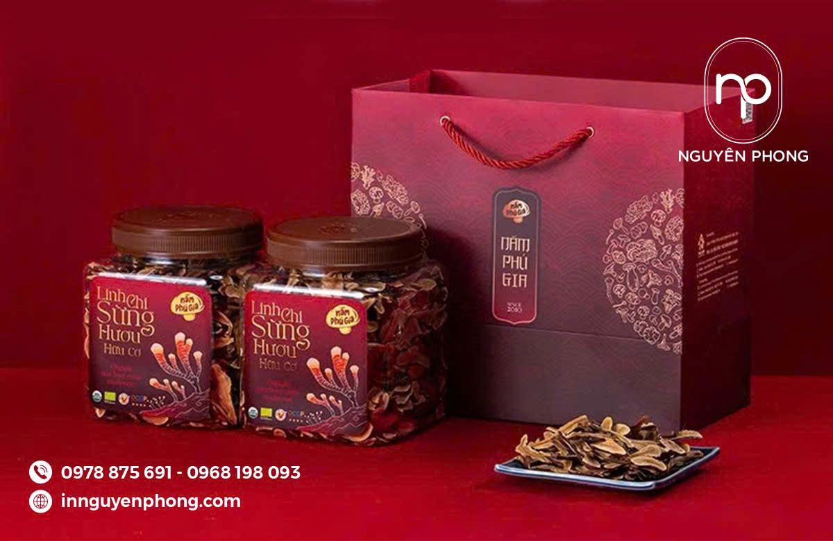 In túi giấy mẫu Tết, sang trọng, đẹp 