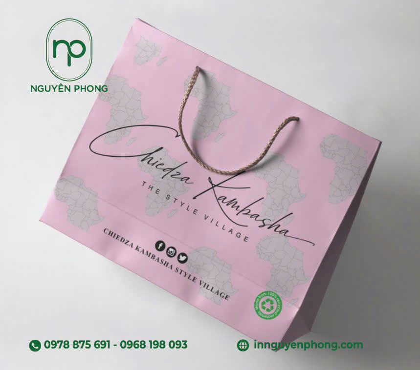 Mẫu túi giấy thời trang 