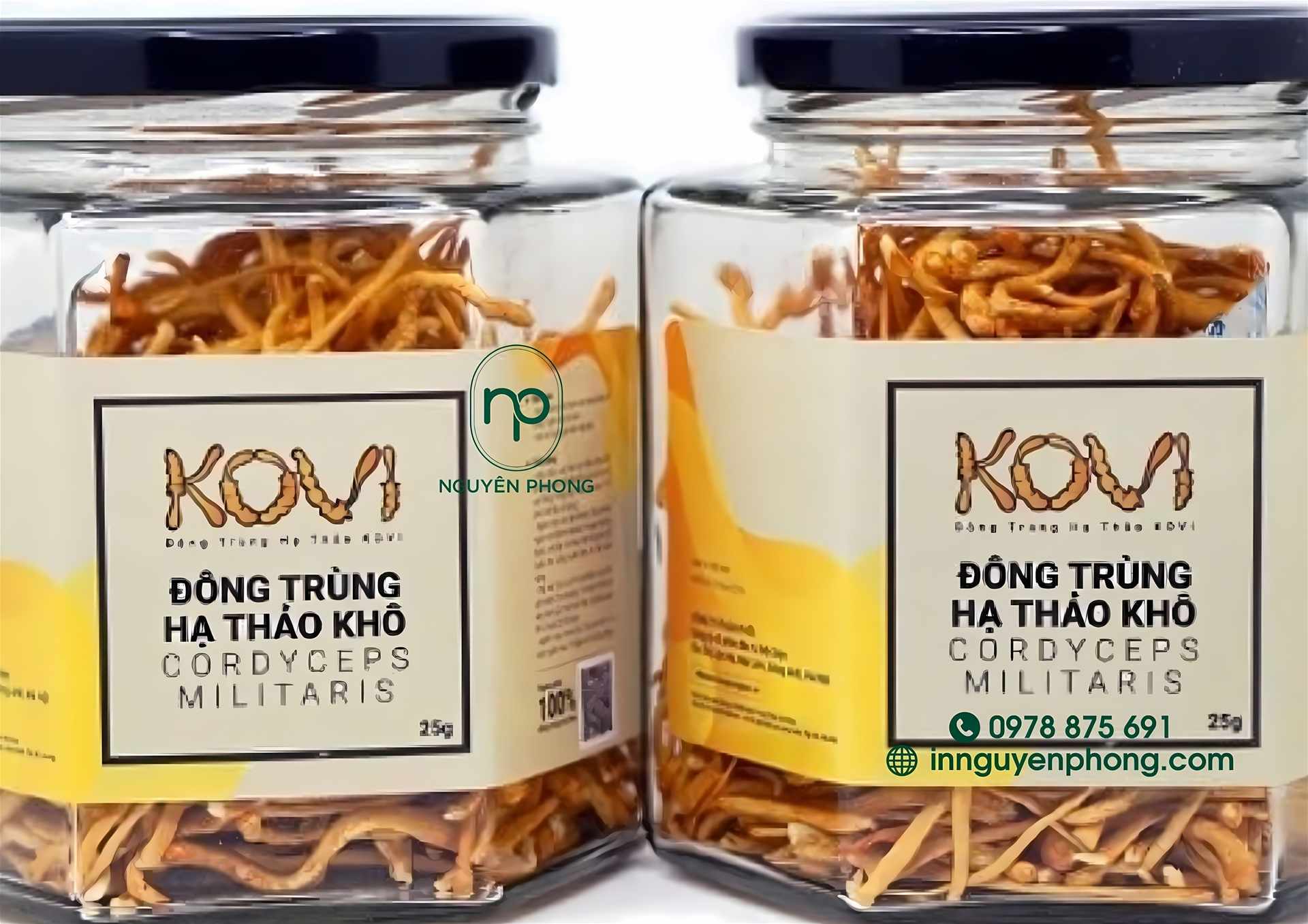 Mẫu in tem dán đông trùng hạ thảo KOVI