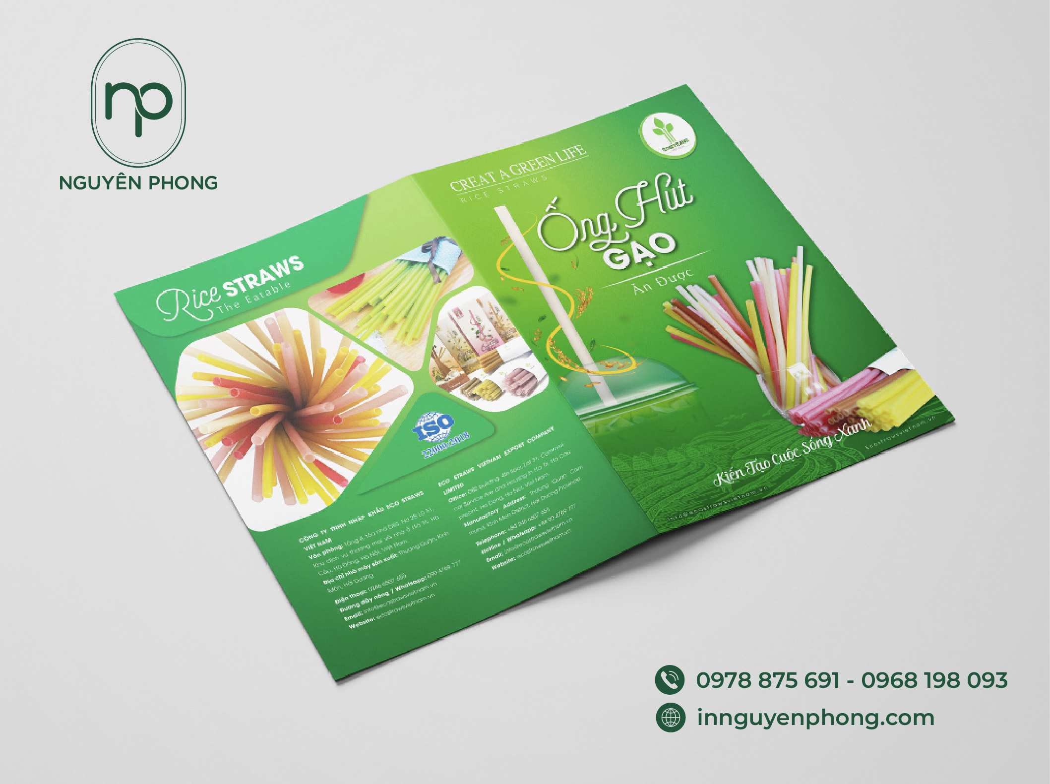 Giấy In Tờ Rơi: Lựa Chọn Hoàn Hảo Cho Chiến Dịch Quảng Cáo Của Bạn