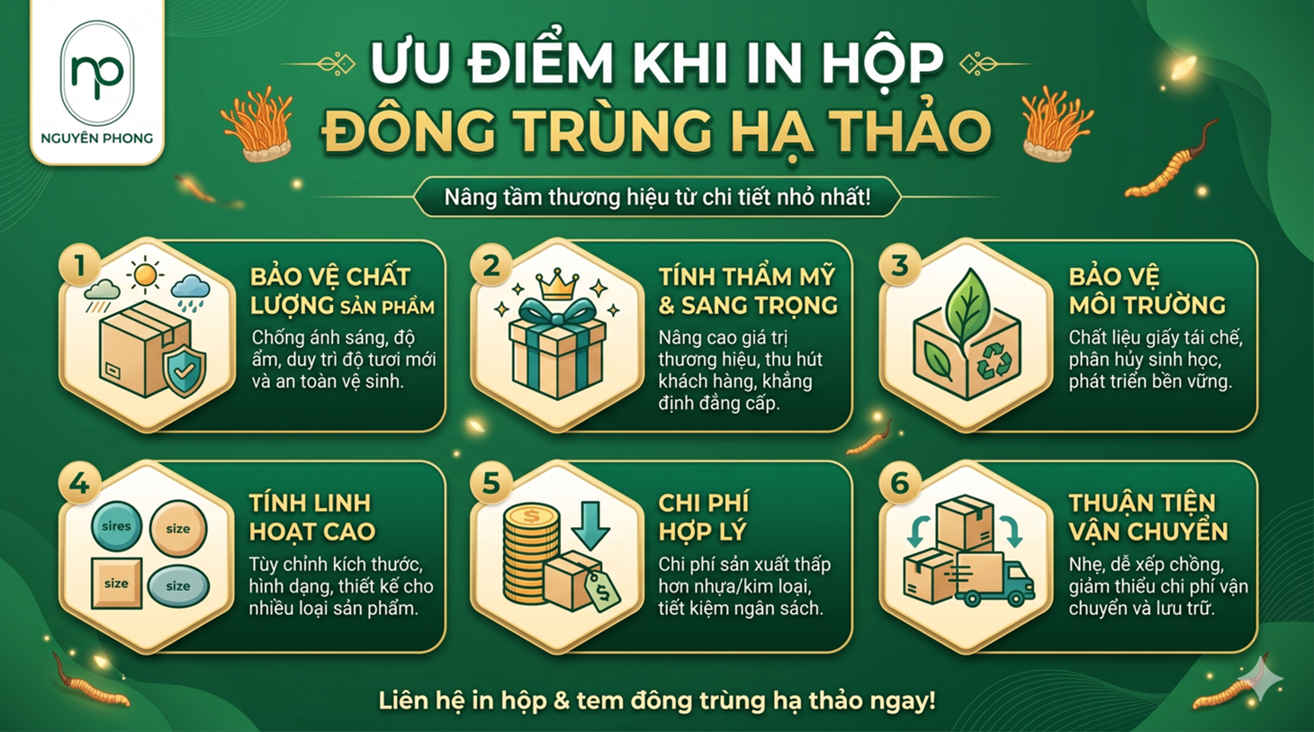 Ưu điểm nổi bật khi in hộp đựng đông trùng hạ thảo