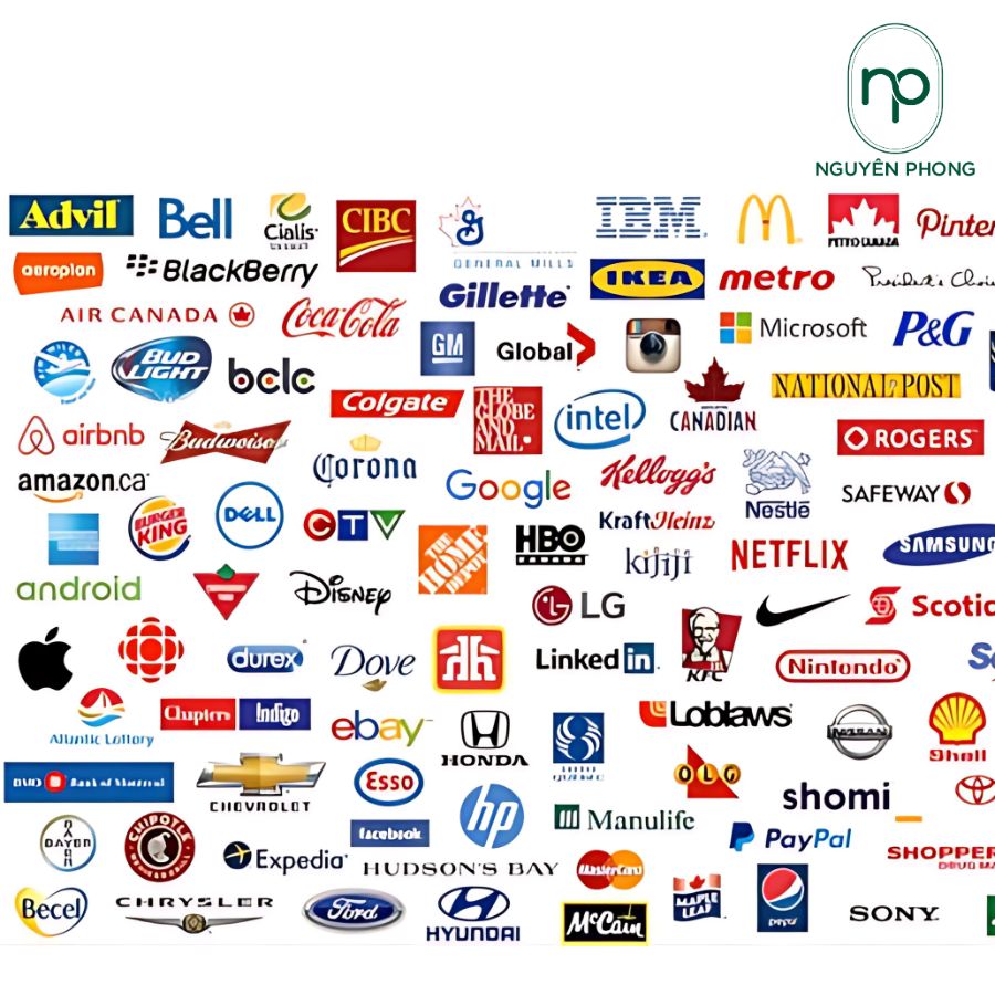 Typo Là Gì? Hiểu Đúng Về Lỗi Gõ Phím Thường Gặp