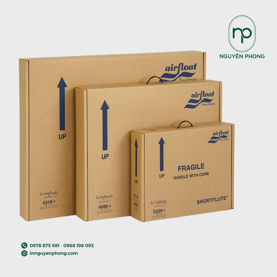 Thiết kế hộp carton