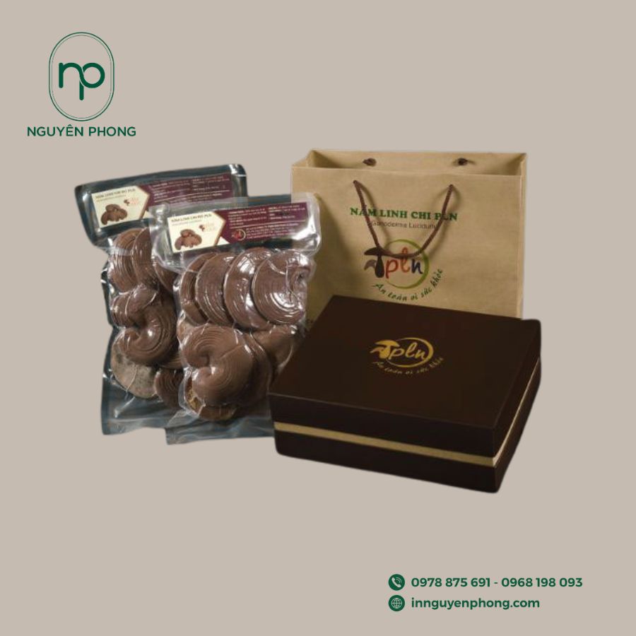 in-hop-giay-dung-linh-chi-gia-re-tai-ha-noi