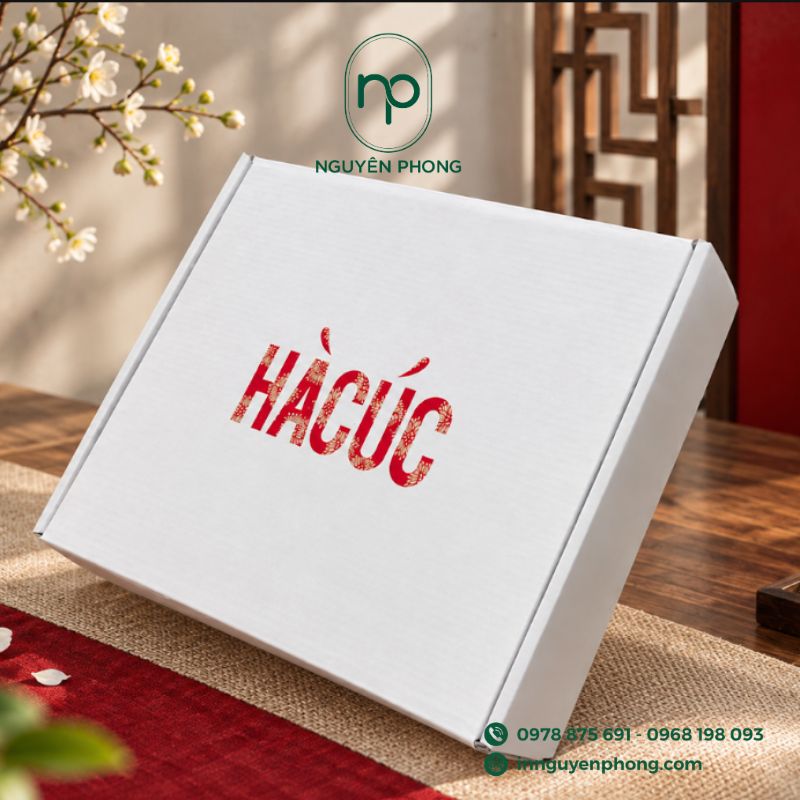 In hộp carton giá rẻ tại Nguyên Phong 