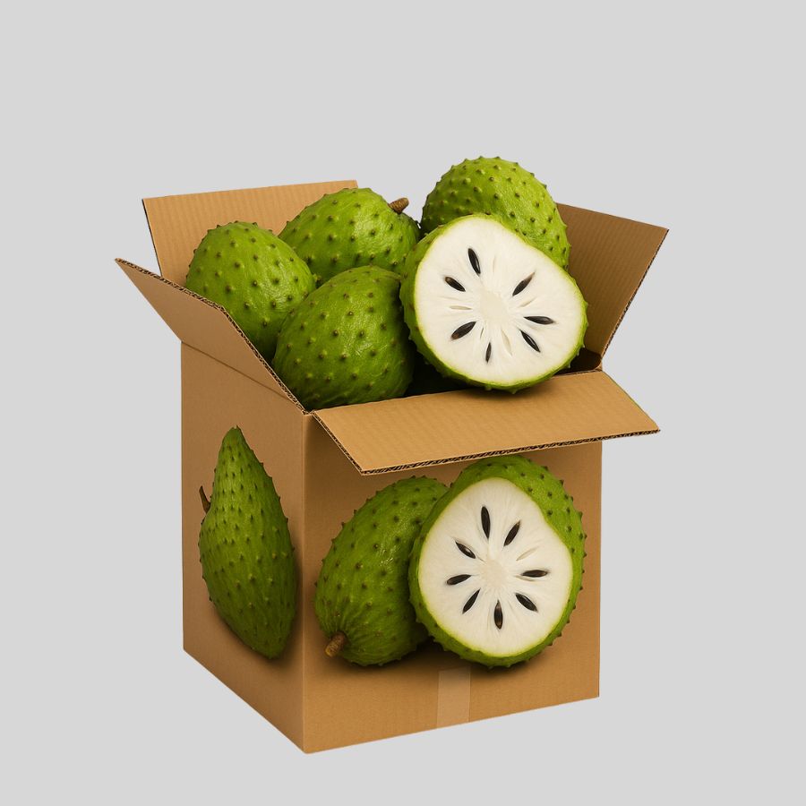 In thùng carton đựng mãng cầu