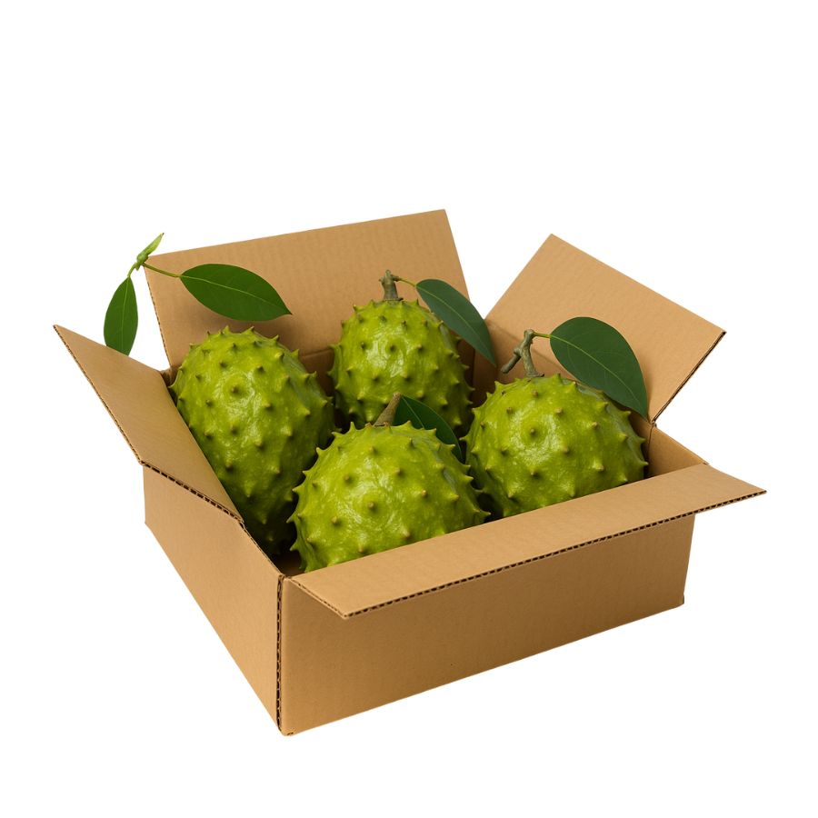 In thùng carton đựng mãng cầu