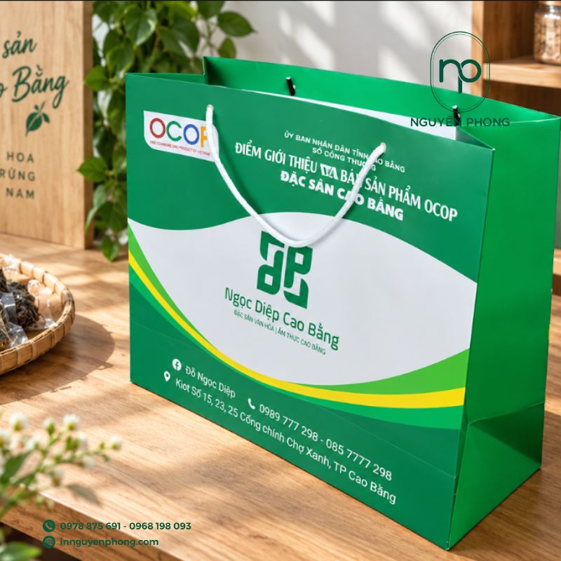 In mẫu túi giấy giá rẻ tại Nguyên Phong