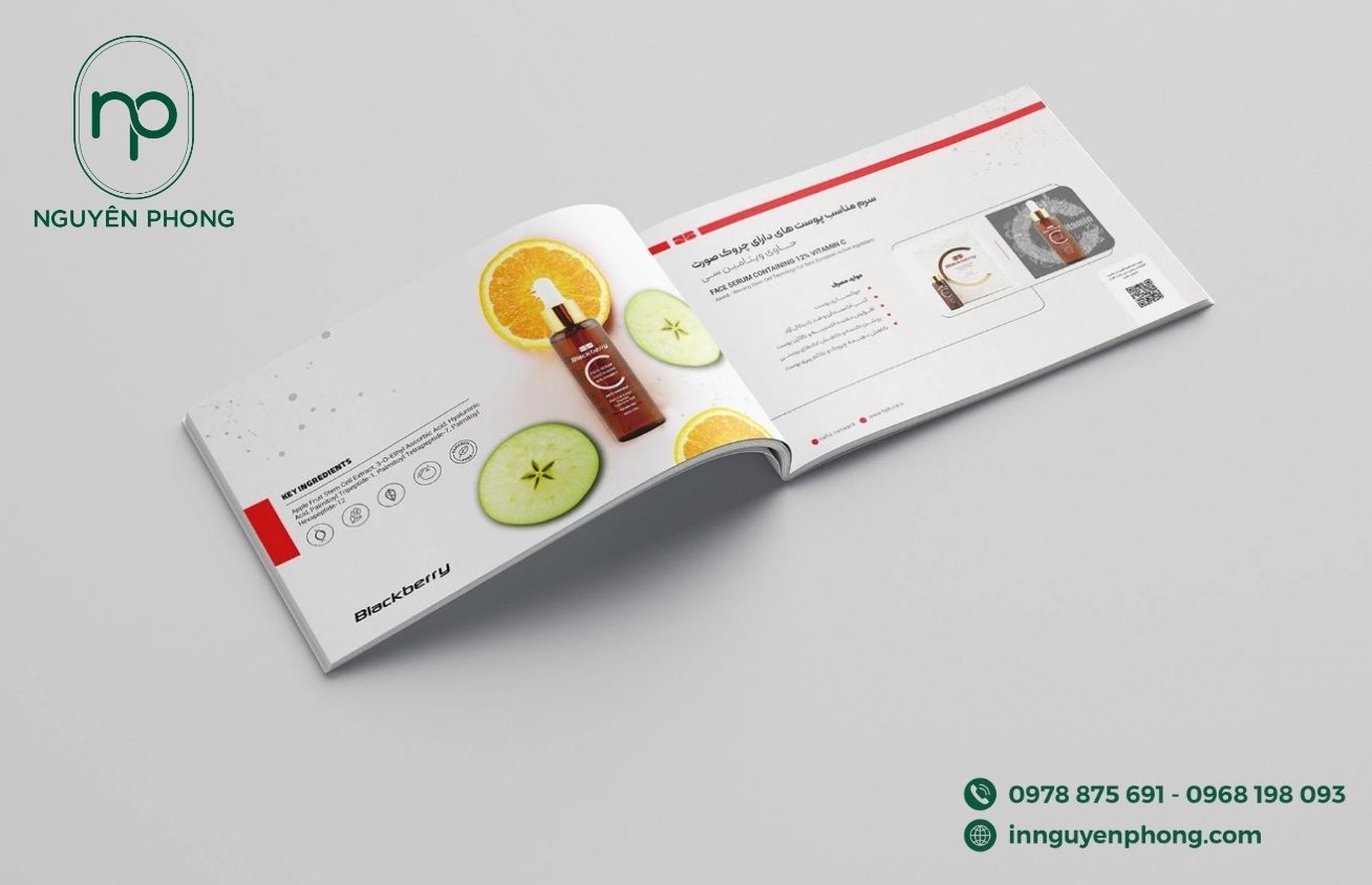 Layout Là Gì? Hiểu Đúng Về Layout Trong Thiết Kế