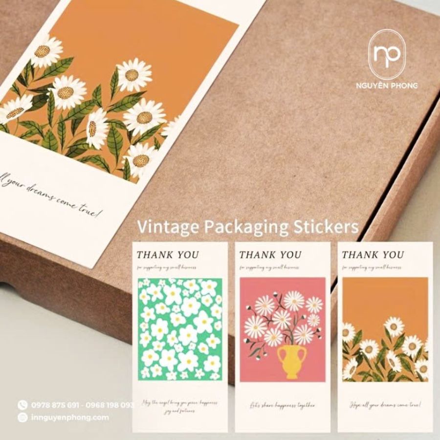 mau-hop-serum-dep-bat-mat-tai-ha-noi